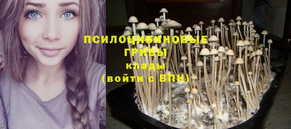 скорость Балахна