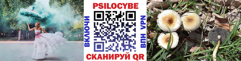 Псилоцибиновые грибы мицелий  купить наркотик  Ветлуга 